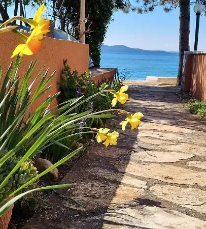 Apartman Puntica